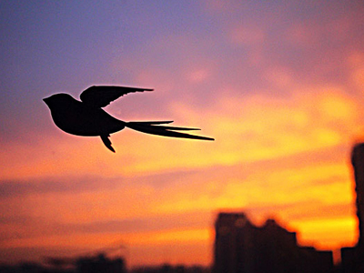 ���������գ����ǻ����������������