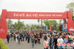 ���ٱ��й���Ʒζ���硱 2018�й����ʾ�ҵ��������ٲ����߳�