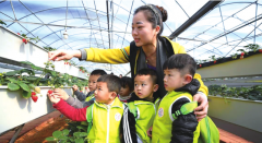 �һ����ǵĴ���