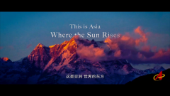 �»����Ƴ�Ψ����Ƭ������֮Լ��