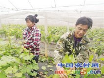 �������������������Խ��Խ��