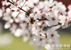 �������� �����κ�