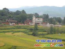 �㽭�������������á� �����������