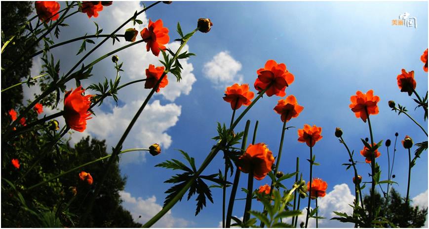 ���������һҳ