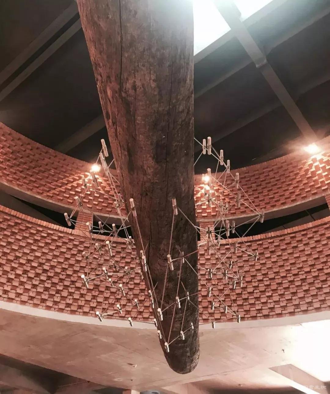 ����ά�����������ɡ�����������ѧ֮���������ʿ